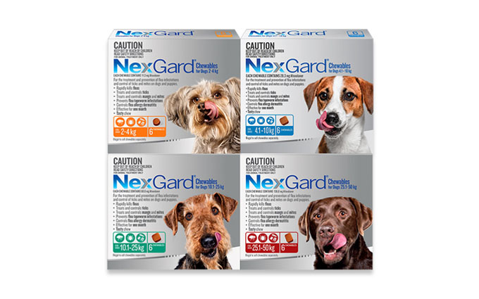 NexGard For Dogs Flea Tick Mite Treatment NexGard Range